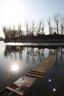 后海在线观看,沉浸式体验老北京风情画卷 第3张 后海在线观看,沉浸式体验老北京风情画卷 第3张